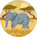 Oscar M. profile picture